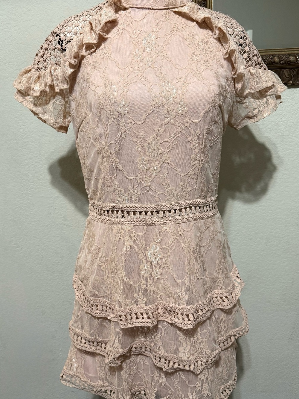 AX Paris Blush Lace Ruffle Short Sleeve Top